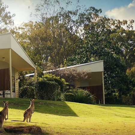Boonah Valley Motel ภายนอก รูปภาพ